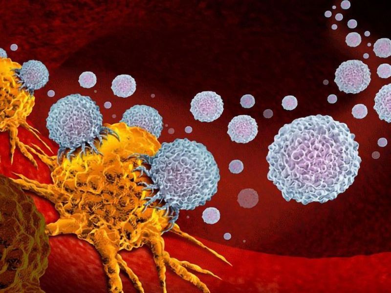ایمونوتراپی چه سرطان هایی را درمان می کند؟