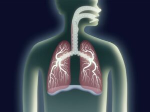 سیستم تنفسی چیست؟ عملکرد و بخش های مختلف آن